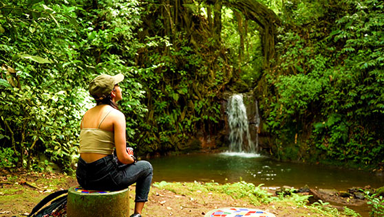 Tropical rainforest and Waterfalls inside Xandari resort and spa Costa Rica